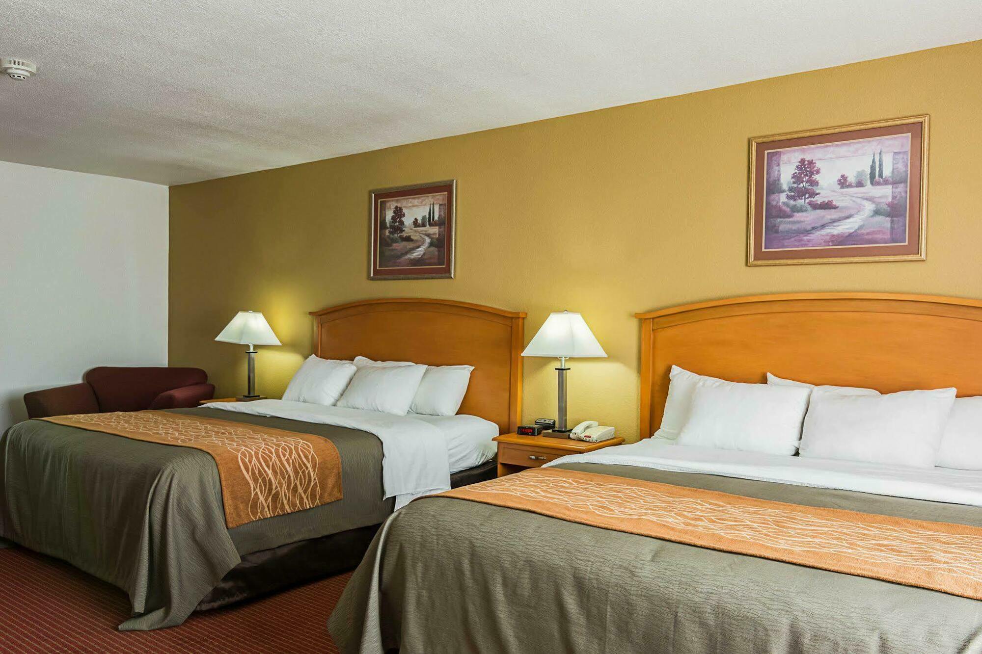 Comfort Inn & Suites Chesapeake - Portsmouth Екстериор снимка
